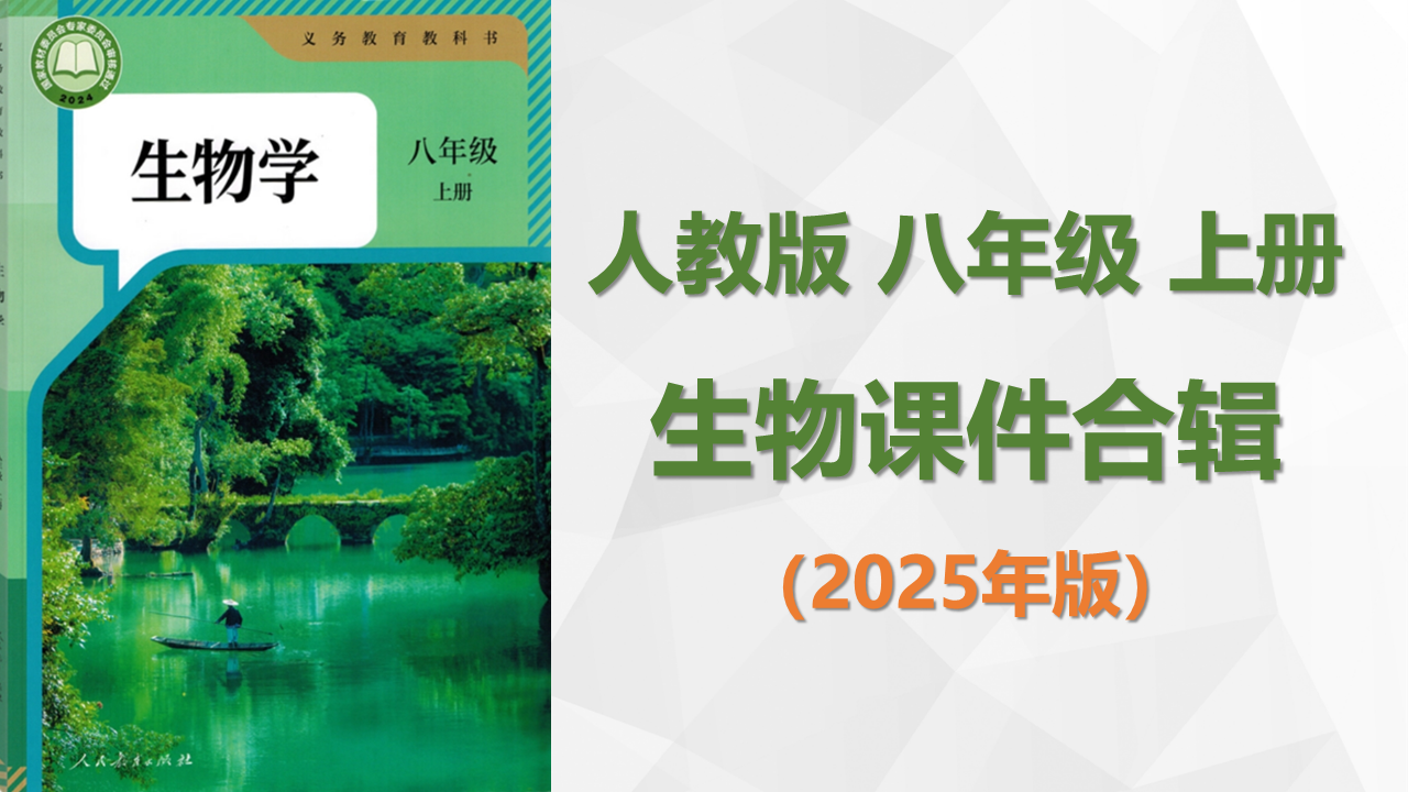 25年新版 |人教版八年级上册生物课件合辑（送教学设计）