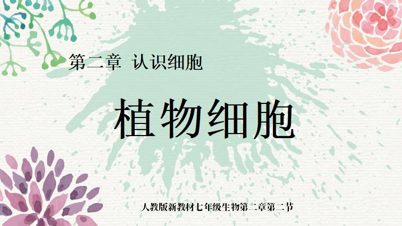 多多生物|新教材初中生物人教版《植物细胞》（无教案）