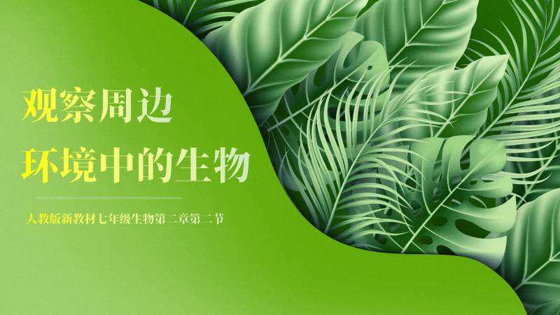 多多生物|新教材初中生物人教版《观察生物的方法》（无教案）