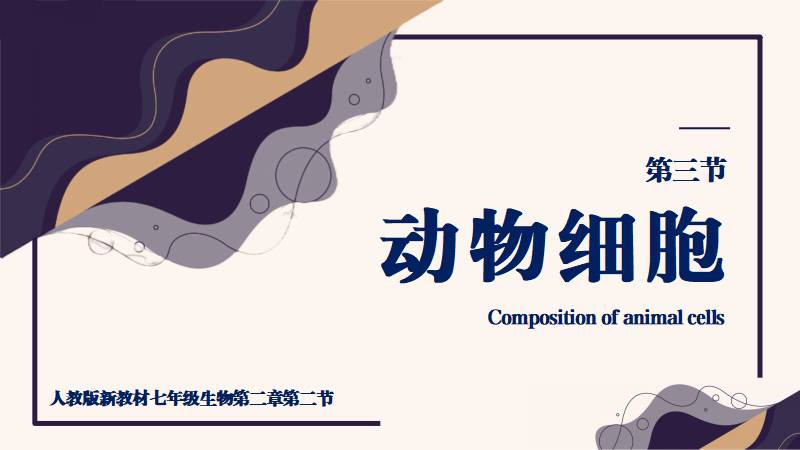 多多生物|新教材初中生物人教版《动物细胞》（无教案）