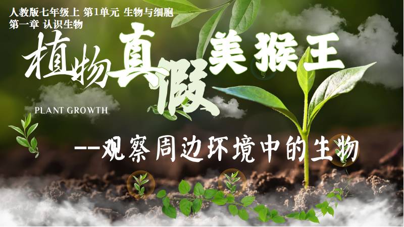 秋香老师的生物教学|新教材初中生物人教版1.1.1观察周围环境中的生物（无教案）