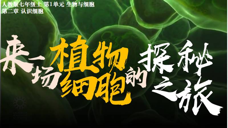 秋香老师的生物教学|新教材初中生物人教版1.2.2植物细胞（无教案）