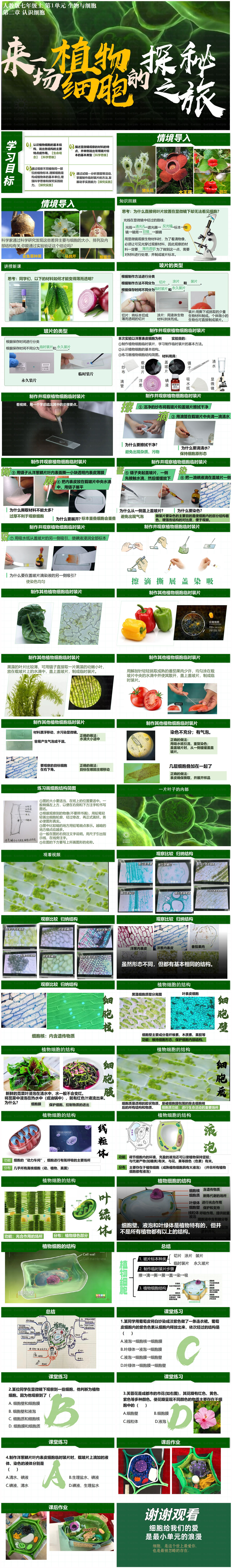 1.2.2植物细胞x.jpg