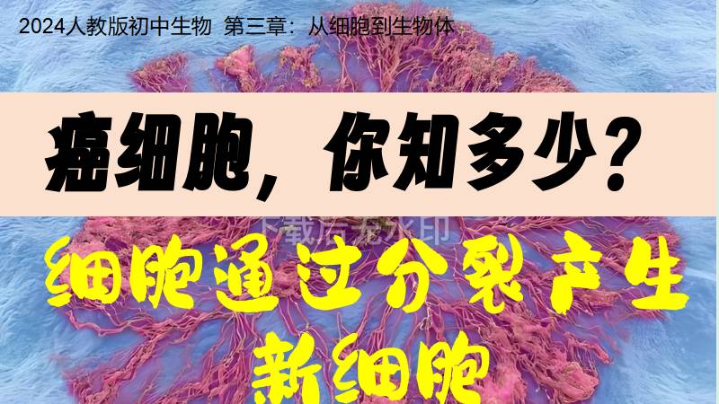 秋香老师的生物教学|新教材初中生物人教版1.3.1细胞通过分裂产生新细胞