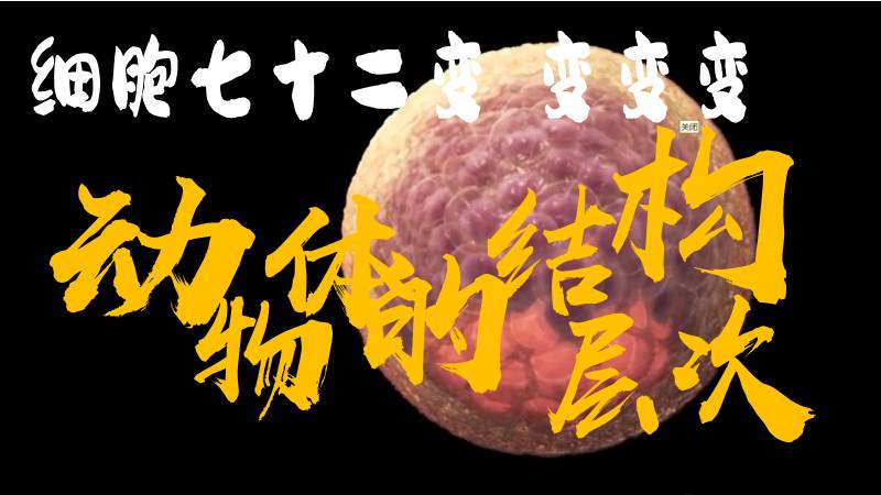 秋香老师的生物教学|新教材初中生物人教版1.3.2动物体的结构层次