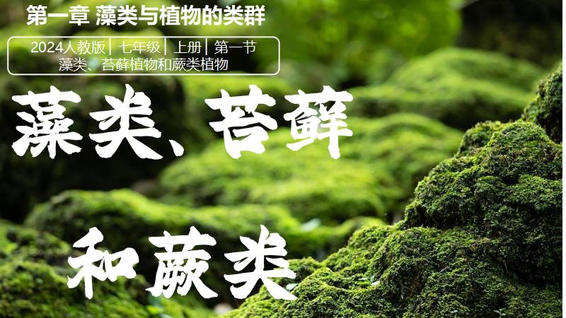 秋香老师的生物教学|新教材初中生物人教版2.1.1藻类、苔藓和蕨类植物