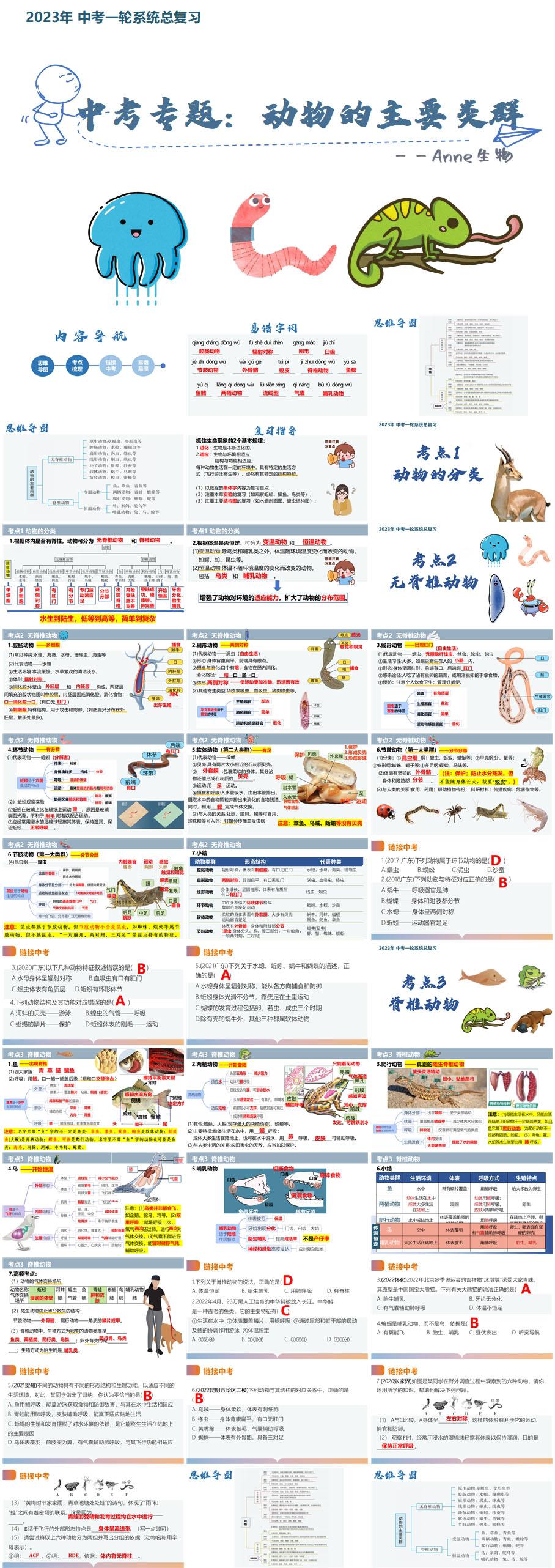 中考复习.动物的主要类群x.jpg