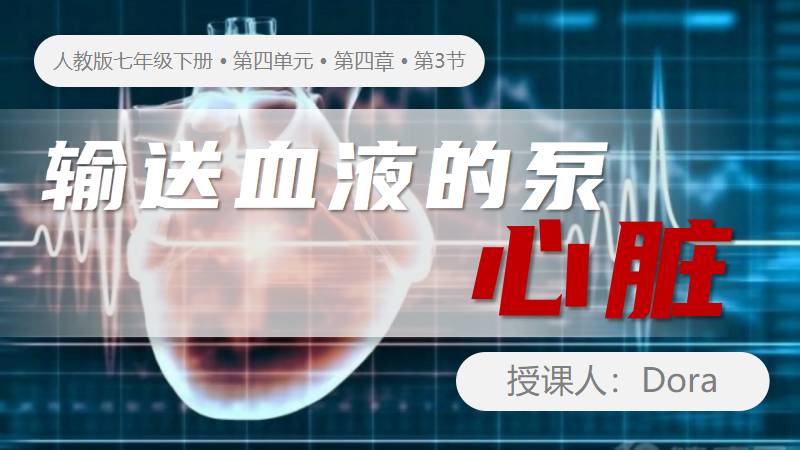 Dora的生物课堂 |人教版生物七下4.4.3《输送血液的泵-心脏》（含教学设计）