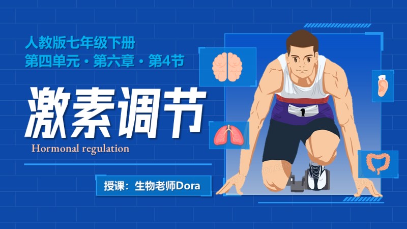 Dora的生物课堂 |人教版生物七下4.6.4激素调节