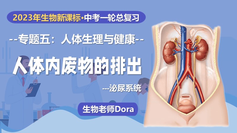 Dora的生物课堂 |中考复习专题5.4：人体内废物的排出-泌尿系统