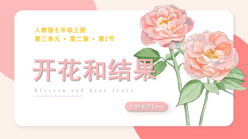 Dora的生物课堂 |人教版生物七上3.2.3《开花和结果》(含教学设计)