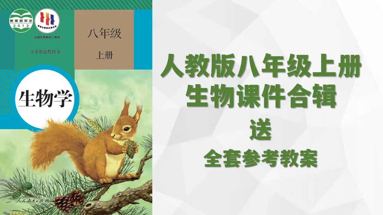 Dora的生物课堂 |人教版八上生物课件合辑(含21个课件和教学设计)