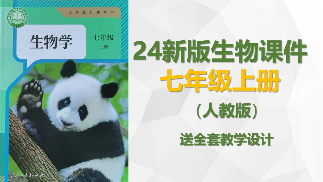 24年新版 |人教版七上生物课件合辑（送教学设计）