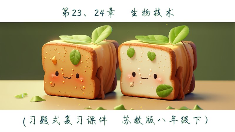 小白的初中生物｜苏教版八下习题式复习课件 23、24章 生物技术