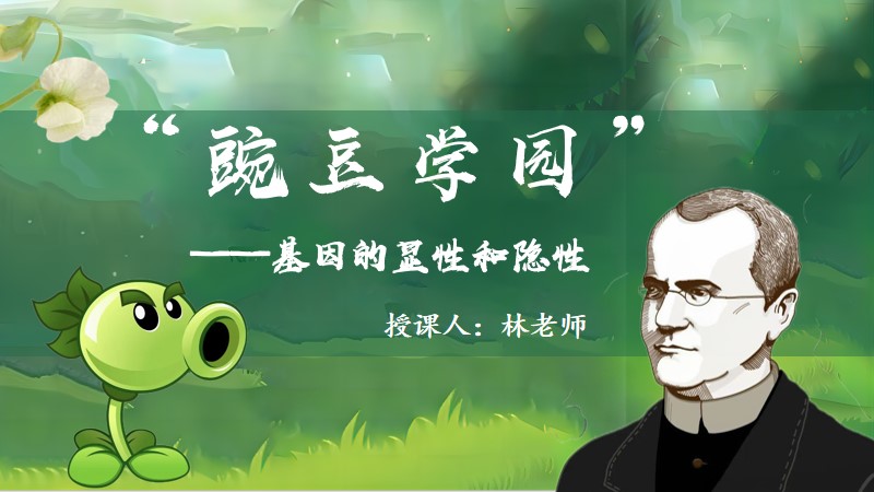 生物林老师 |初中生物人教版八下7.2.3基因的显性和隐性