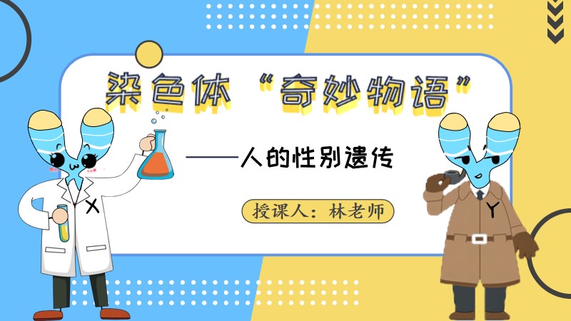 生物林老师 |初中生物人教版八下7.2.4人的性别遗传