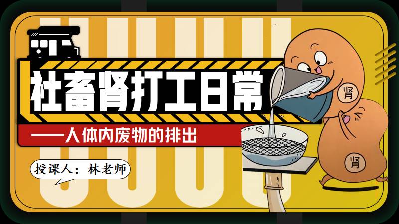 生物林老师 |初中生物人教版七下5.1人体内废物的排出（旧版本）