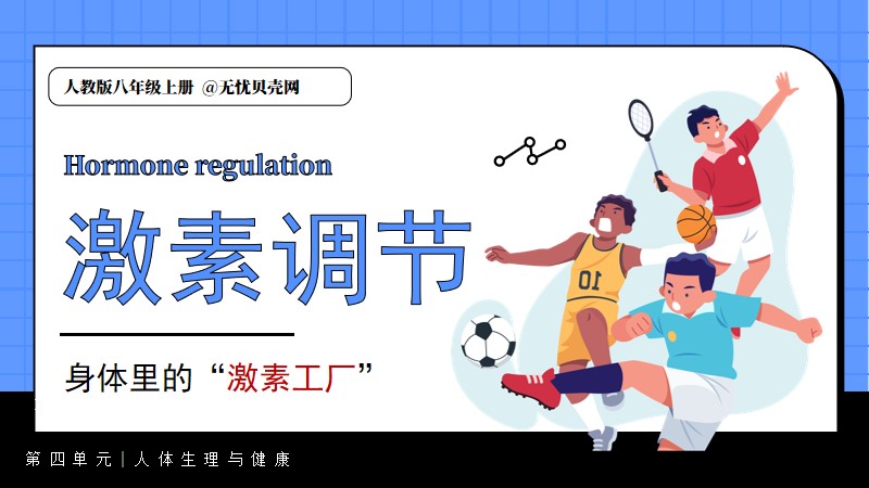 新人教八上4.6.4激素调节(含教案)@青禾 | 名师帮系列