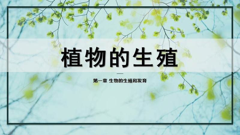 初中生物人教版八下7.1.1植物的生殖