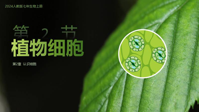 教生物的小王老师｜初中生物人教版七上新教材1.2.2植物细胞（含教学设计）