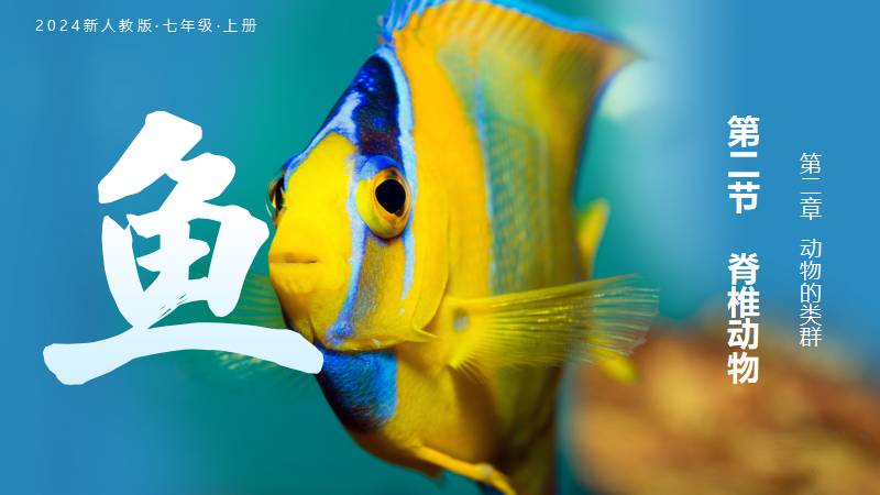 教生物的小王老师｜初中生物人教版七上新教材2.2.2-1鱼（含教学设计）