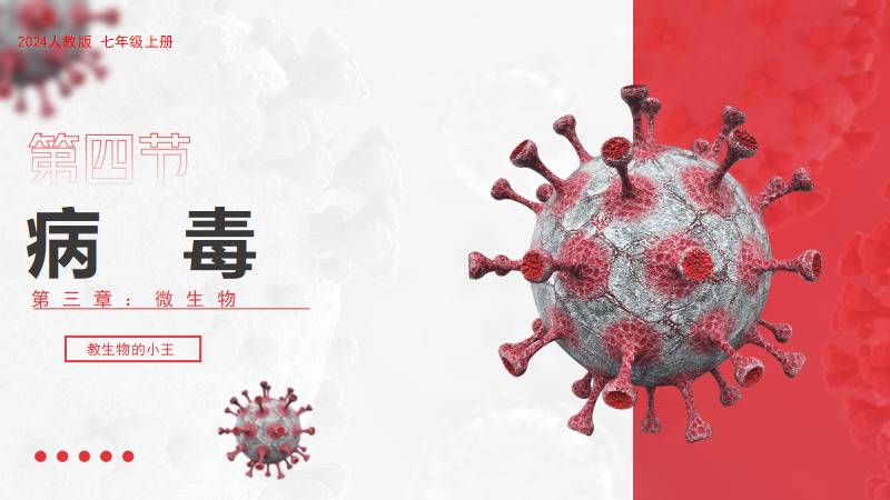 初中生物人教版七上新教材2.3.4病毒（含教学设计）@教生物的小王老师