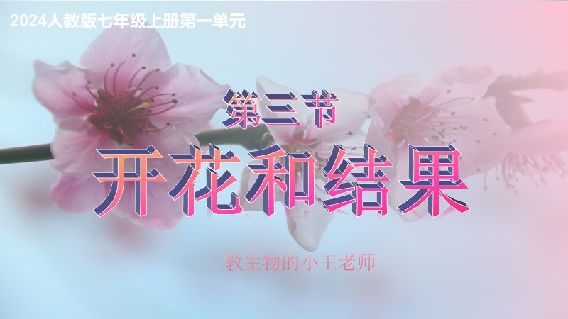 新教材初中生物人教版七下3.1.3 开花和结果