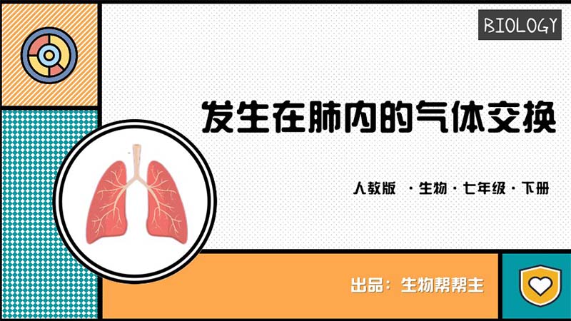 生物帮帮主 |七下原创课件《肺部气体的交换》（无教案）