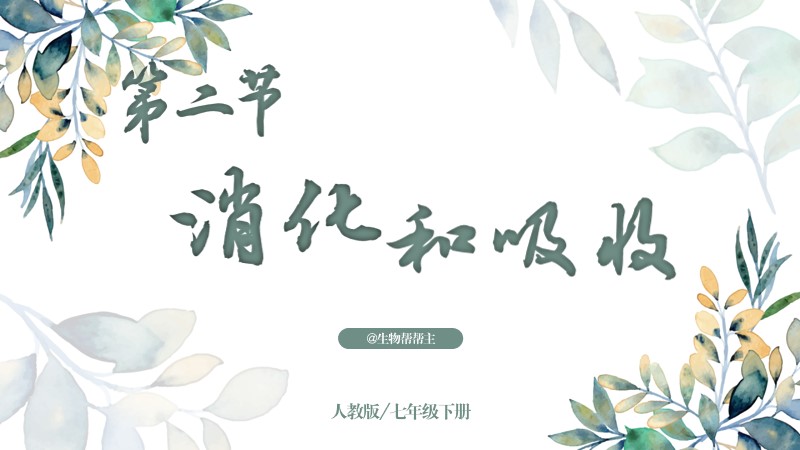 生物帮帮主 |七下原创课件《消化与吸收》（无教案）