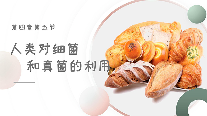 生物帮帮主 |八上原创课件《人类对细菌和真菌的利用》（无教案）