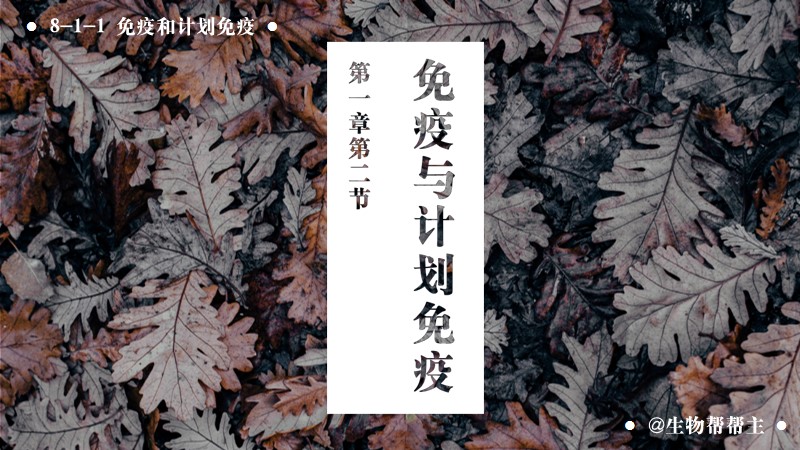 生物帮帮主 |八下人教版原创课件《免疫与计划免疫》（无教案）