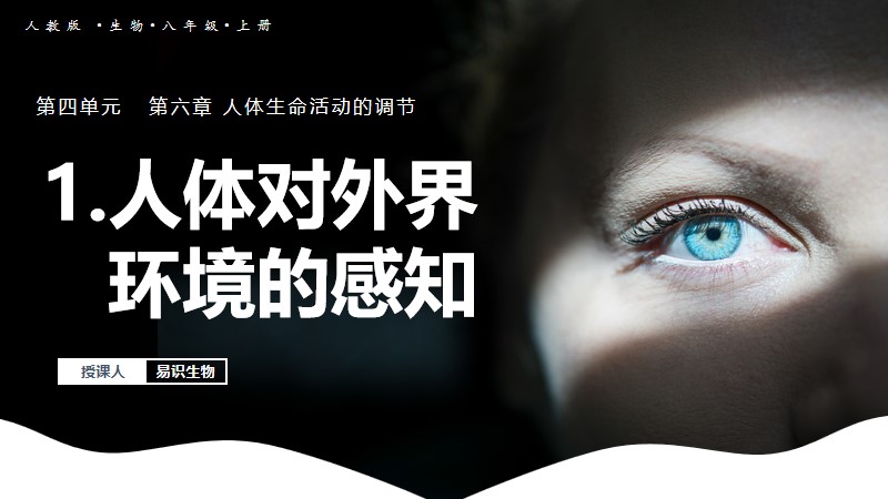 新教材八上|4.6.1 人体对外界环境的感知（已更教案）