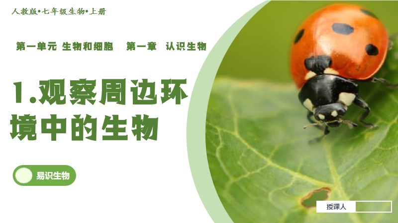易识生物|人教版24新版七上生物|1.1.1 观察周边环境中的生物（已更教案）