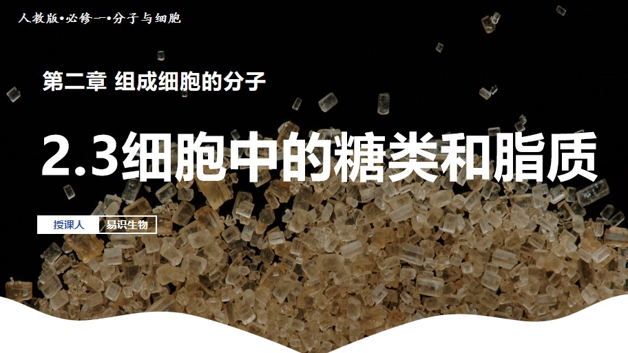 易识生物|人教版高中生物|必修一2.3细胞中的糖类和脂质