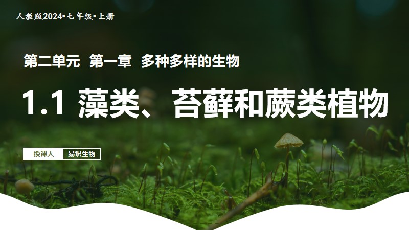 易识生物|人教版24新版七上生物|2.1.1 藻类、苔藓和蕨类植物（已更教案）