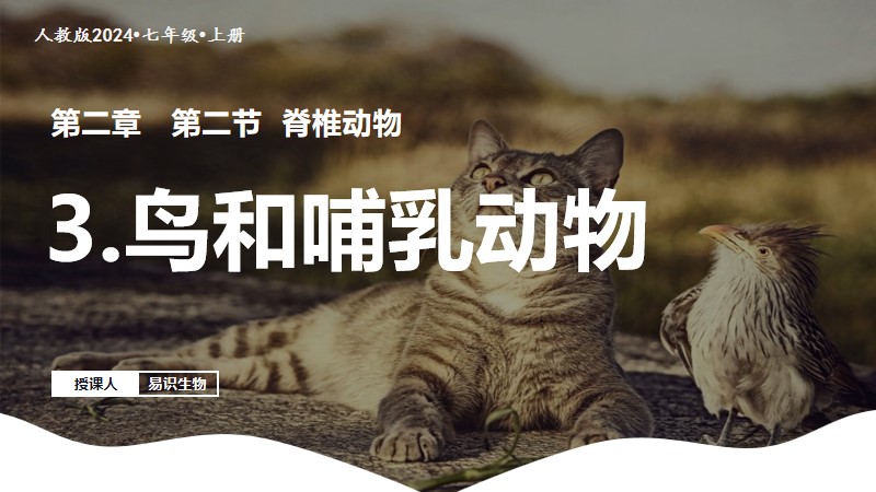 易识生物|人教版24新版七上生物|2.2.2脊椎动物（鸟类和哺乳动物）（已更教案）