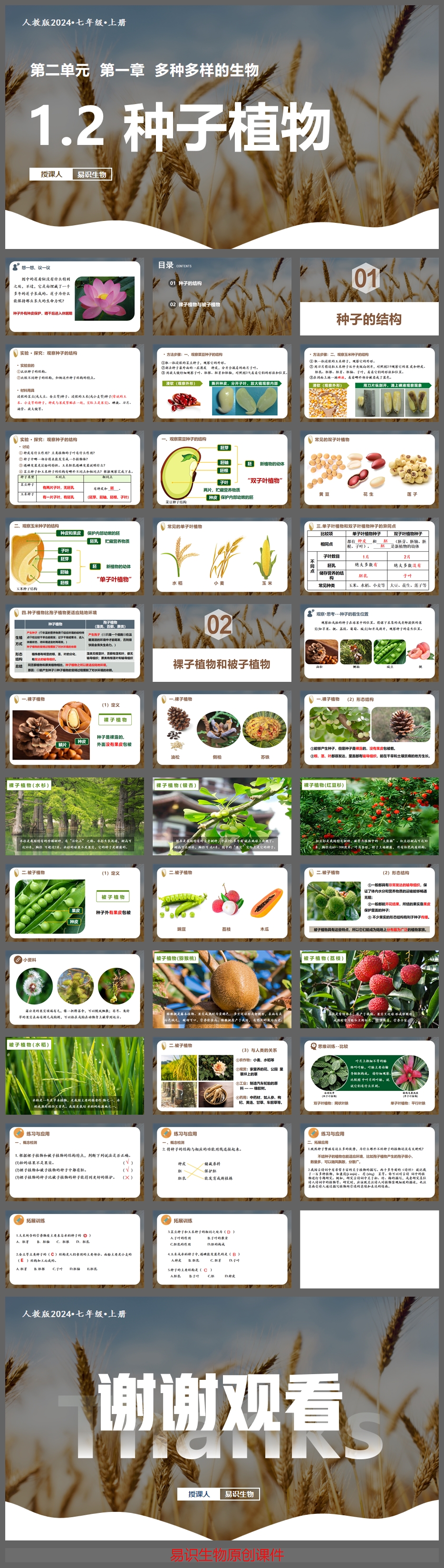 2.1.2 种子植物2.jpg