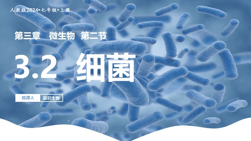 易识生物|人教版24新版七上生物|2.3.2细菌