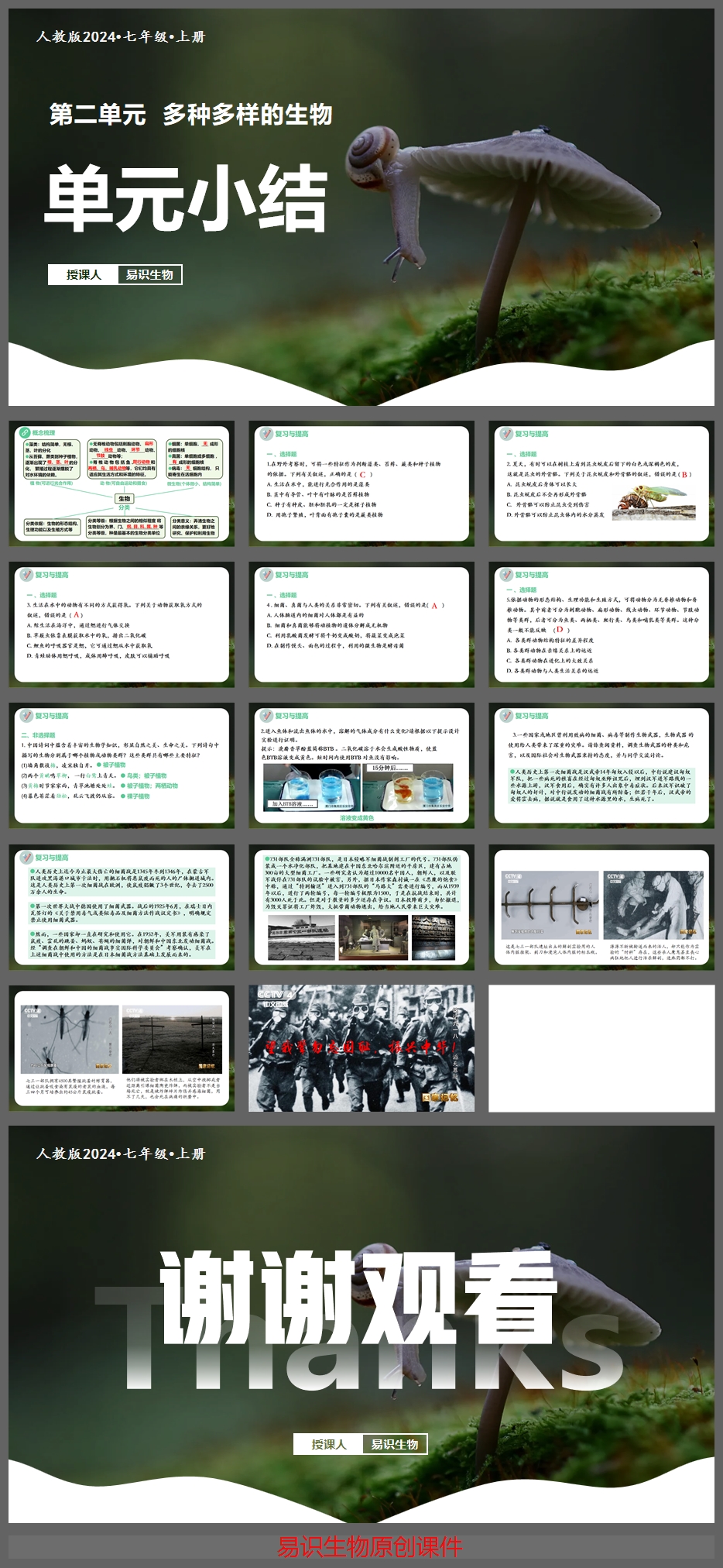 第二单元小结 2.jpg