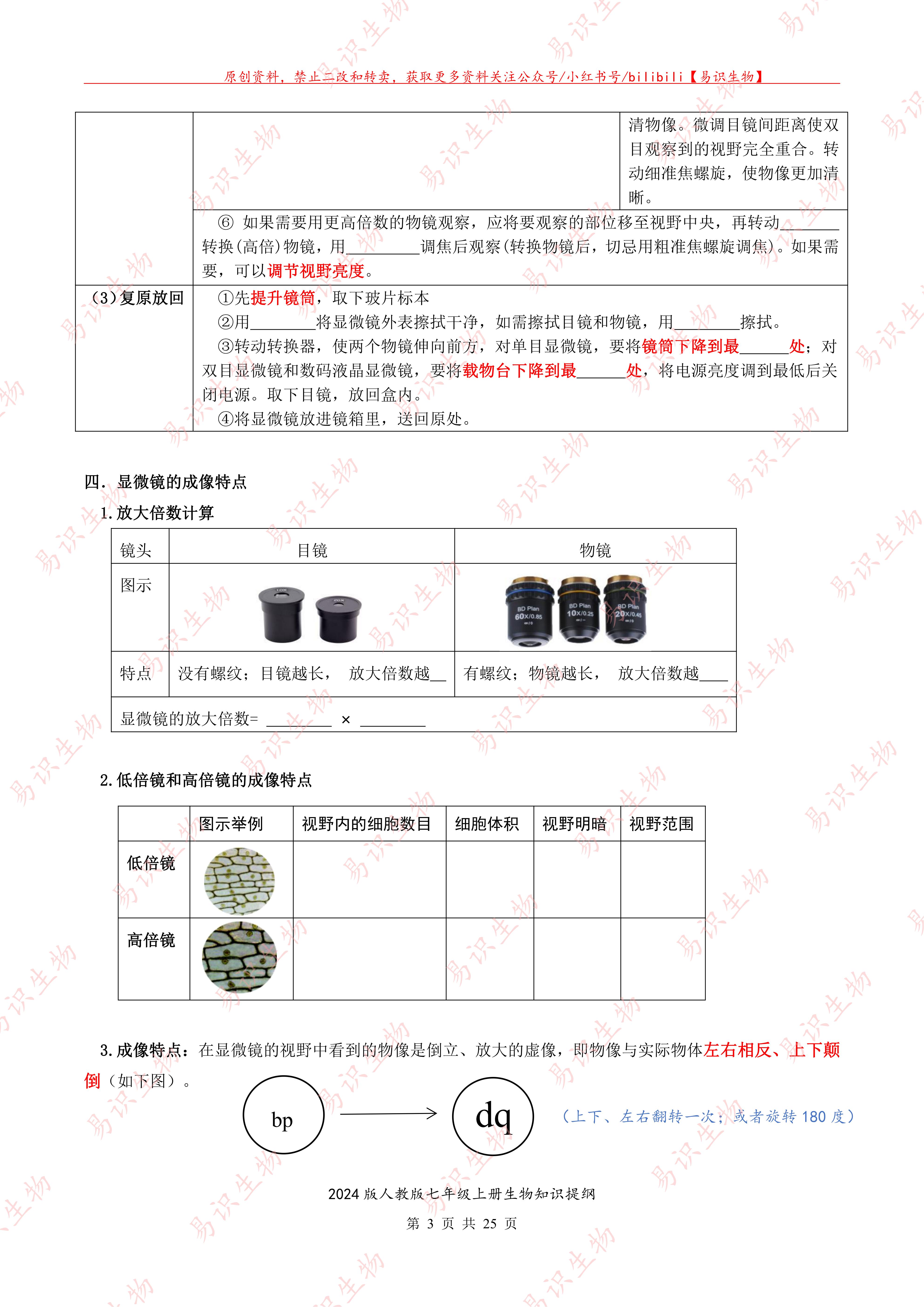2024新版人教版七年级上册生物知识题纲   （填空版）_02.jpg