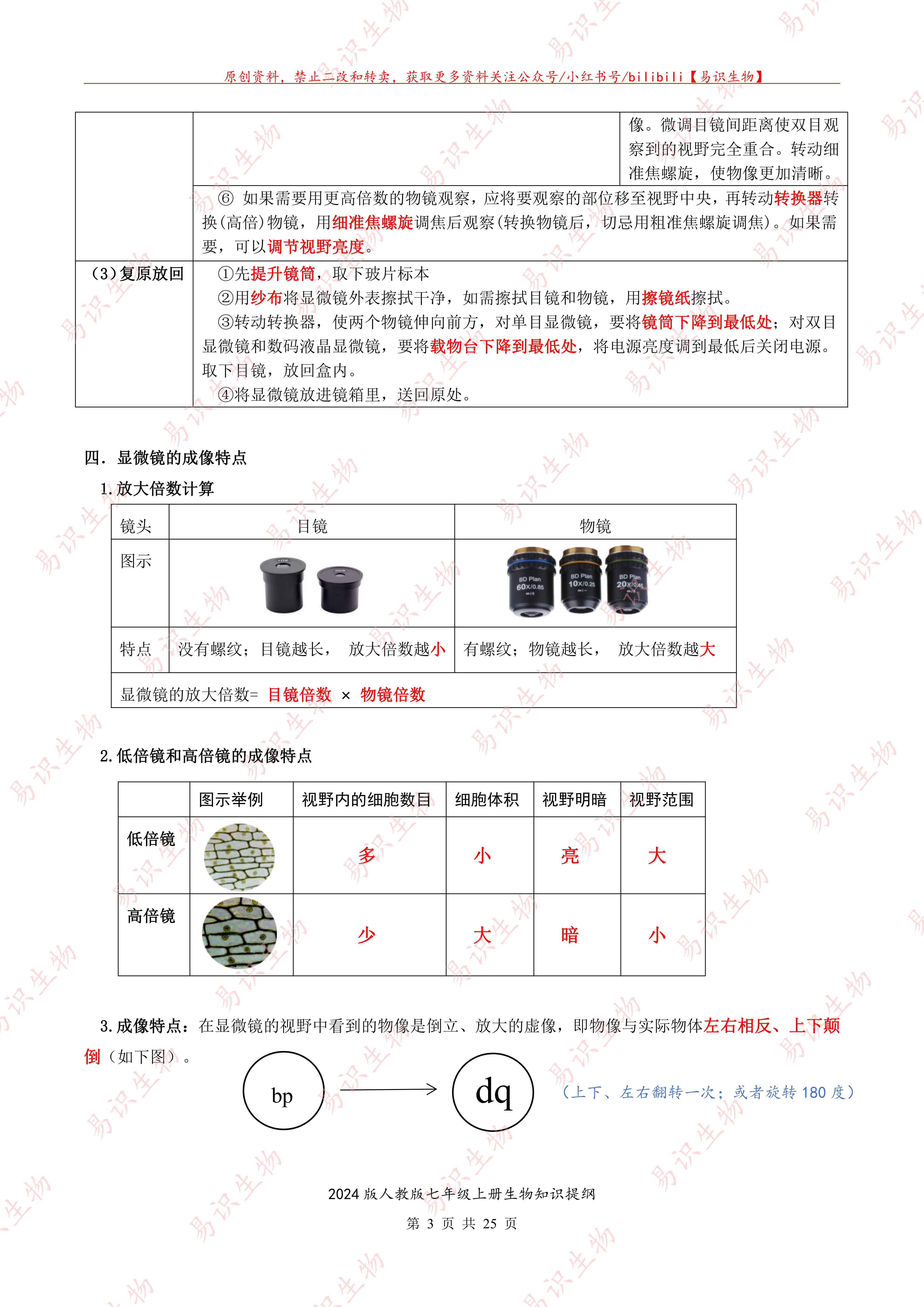 2024新版人教版七年级上册生物知识题纲   （答案版）_02.jpg