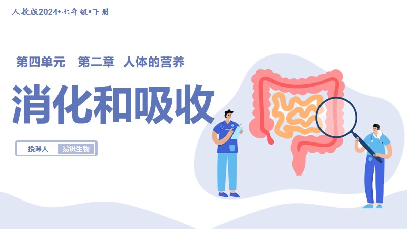易识生物|人教版新版七下课件|4.2.2 消化和吸收（2个课时）