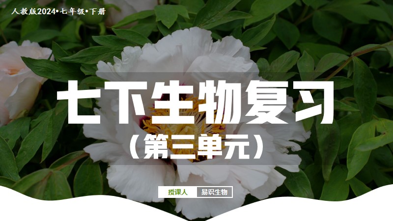 易识生物|人教版新版七下课件|第三单元复习课件（PPT共60多页）（七下整册课件会送本课件，无需重复购买）