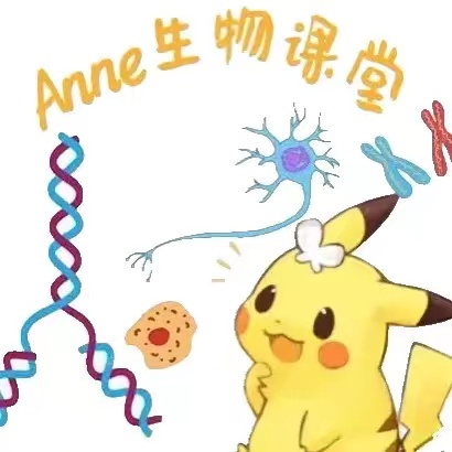 Anne生物